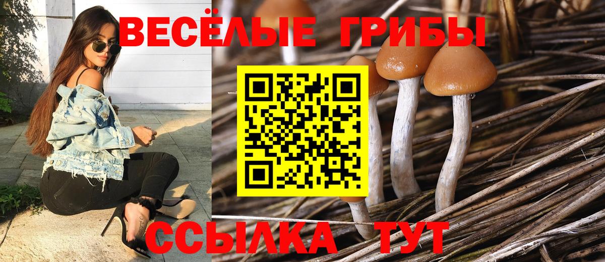 Нижний Тагил  Псилоцибиновые грибы MAGIC MUSHROOMS  продажа наркотиков  Вход с VPN 